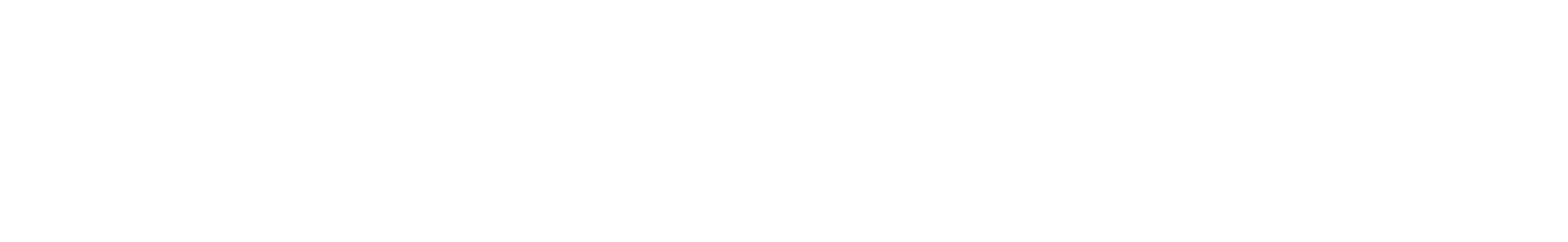 CONSERVATIVE